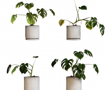 Modern Potted Green Plant-ID:537457943