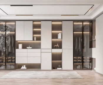 Modern Clothes Storage Area-ID:215601926