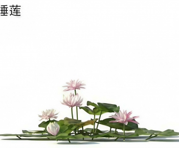 Modern Shrubbery-ID:306102998