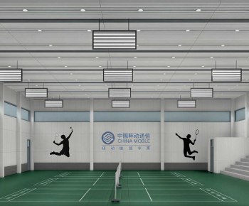 Modern Indoor Badminton Court-ID:508274088