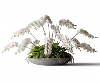 Modern Bonsai-ID:371934894