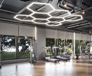 Modern Gym-ID:522150043