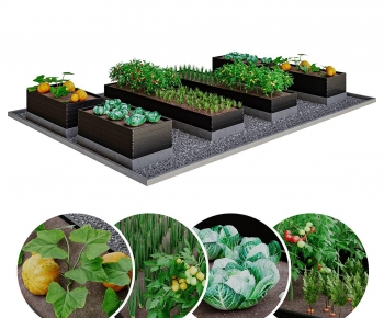 Modern Crop-ID:384002927