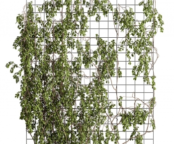 Modern Plant Wall-ID:310158973