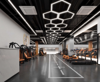Modern Gym-ID:583796021