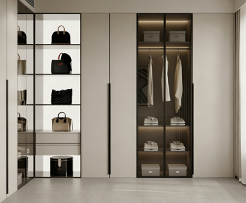 Modern Clothes Storage Area-ID:337418087
