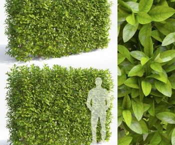 Modern Shrubbery-ID:567025906