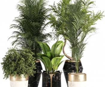 Modern Ground Green Plant Potted Plants-ID:632904051