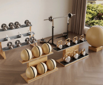 Modern Fitness Equipment-ID:919291971