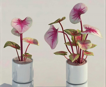 Modern Potted Green Plant-ID:857212073