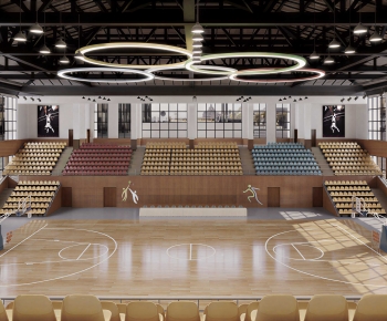 Modern Basketball Arena-ID:705811022