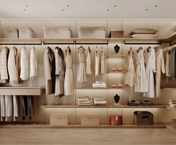 Modern Clothes Storage Area-ID:903023966