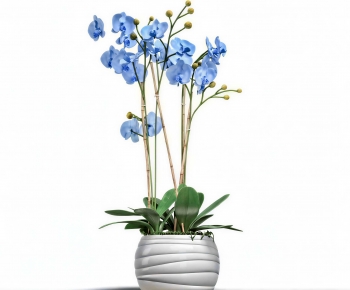 Modern Potted Green Plant-ID:103528984