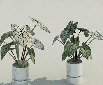 Modern Ground Green Plant Potted Plants-ID:149581919