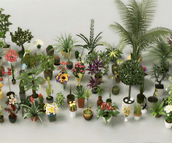 Modern Ground Green Plant Potted Plants-ID:726778037