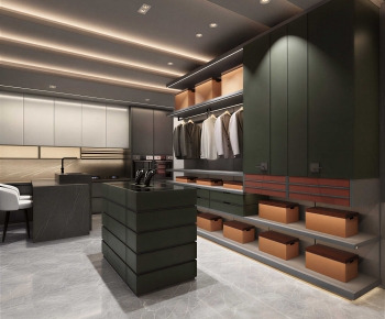 Modern Clothes Storage Area-ID:195504903