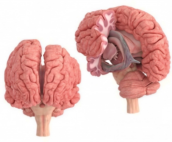 Modern Medical Equipment-ID:271202097