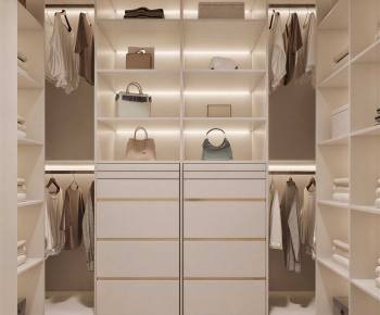 Modern Clothes Storage Area-ID:593388081