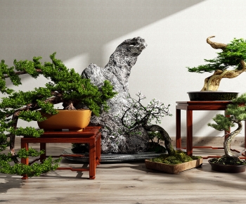New Chinese Style Bonsai-ID:436199906