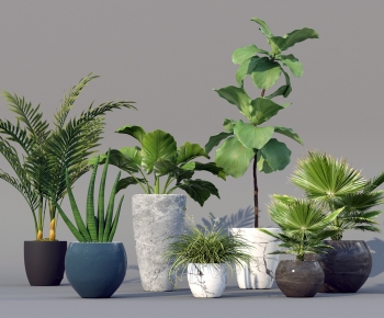 Modern Ground Green Plant Potted Plants-ID:387260941