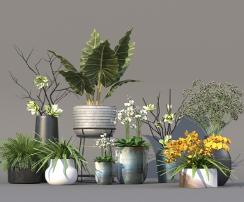 Modern Ground Green Plant Potted Plants-ID:522149098