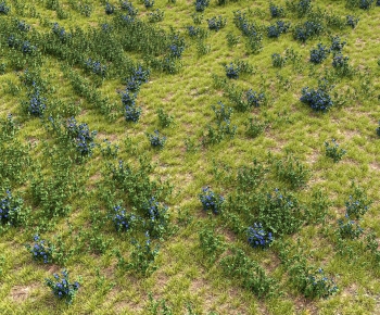 Modern The Grass-ID:883555899