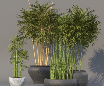 Modern Ground Green Plant Potted Plants-ID:980133067