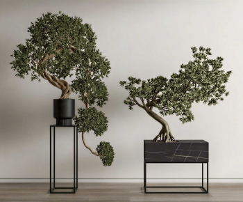 New Chinese Style Bonsai-ID:314069037
