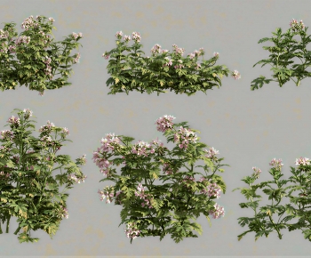 Modern Shrubbery-ID:126907111