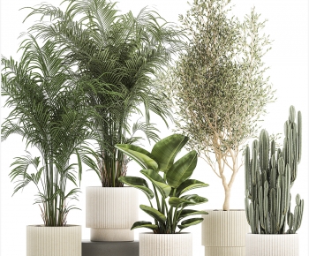 Modern Ground Green Plant Potted Plants-ID:422882085