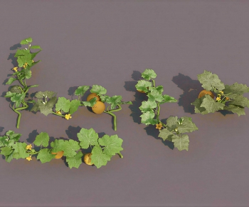 Modern Vine-ID:191303979