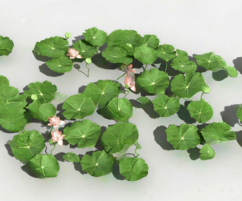 Modern Plant Pile-ID:919084072
