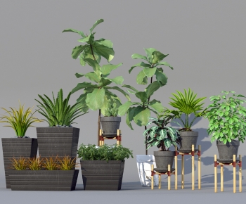 Modern Ground Green Plant Potted Plants-ID:499311928