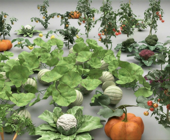 Modern Vegetables-ID:692334891