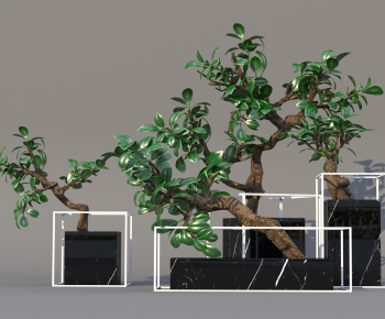Modern Ground Green Plant Potted Plants-ID:216162921