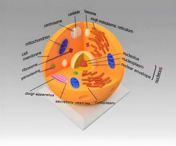 Modern Medical Equipment-ID:999634989