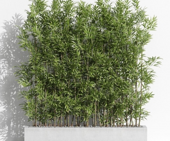 Modern Potted Green Plant-ID:370647913