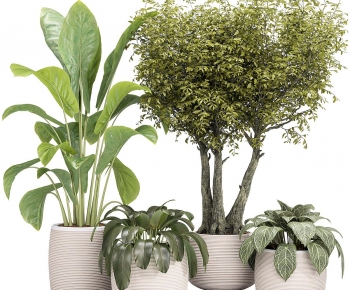 Modern Ground Green Plant Potted Plants-ID:160042057
