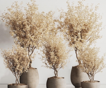 Modern Ground Green Plant Potted Plants-ID:671727903