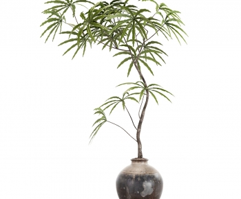 Wabi-sabi Style Ground Green Plant Potted Plants-ID:741770982