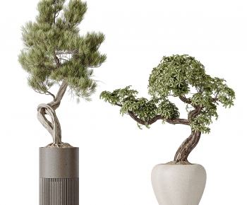 Modern Ground Green Plant Potted Plants-ID:306737907