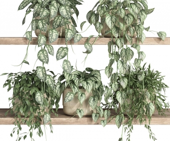 Modern Potted Green Plant-ID:972312933