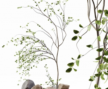 Modern Plant Landscaping-ID:762381088