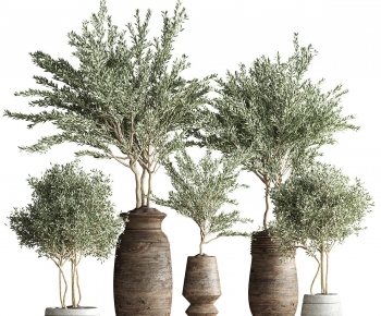 Modern Potted Green Plant-ID:609075077
