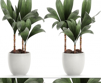 Modern Potted Green Plant-ID:205284123