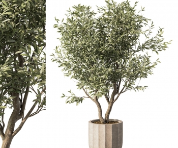 Modern Ground Green Plant Potted Plants-ID:880599986