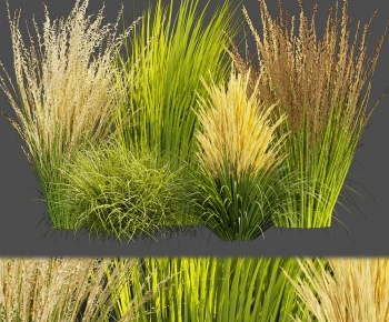 Modern The Grass-ID:772995009