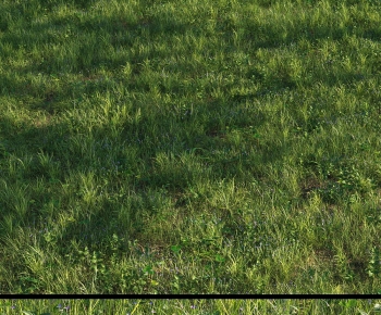 Modern The Grass-ID:745776897