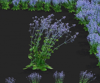 Modern Flowers And Grass-ID:690400637