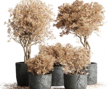 Modern Ground Green Plant Potted Plants-ID:835642101